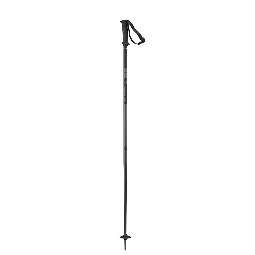 ARCTIC POLES BLACK